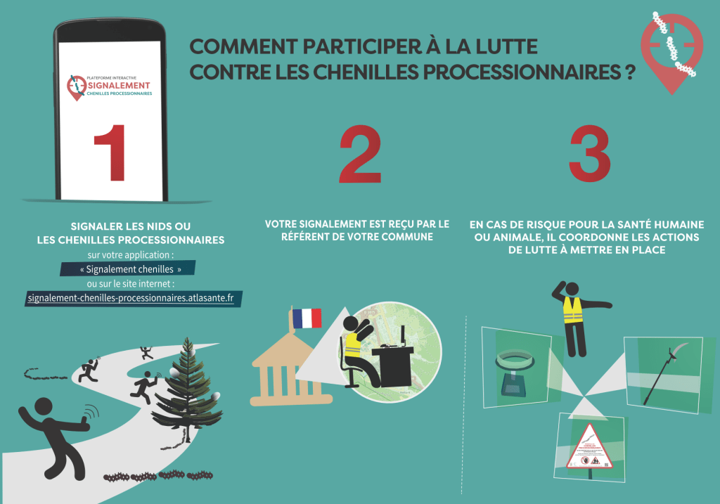 Flyer_signalement-chenilles-processionnaires-1024x717