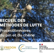 Recueil des méthodes de lutte : Processionnaires du pin et du chêne