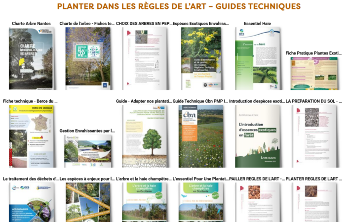 Capture d’écran 2026-01-12 142114