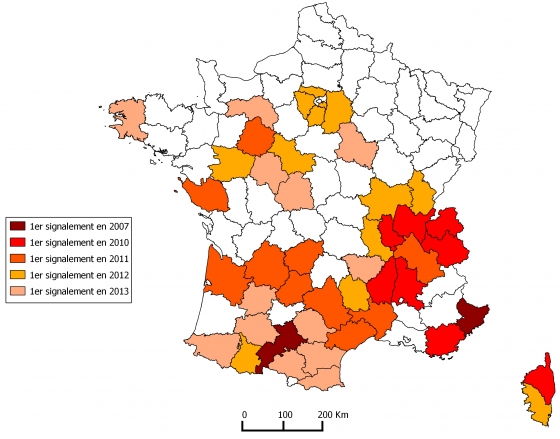 Extension des foyers de cynips du châtaignier en France (2007 à 2013) © Inra