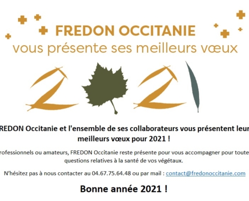 bonne année 2021