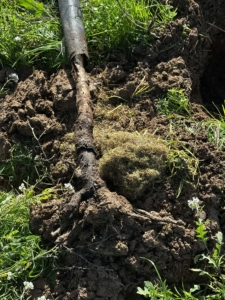 786919a0-0911-4476-b4d3-3e6744b67f59